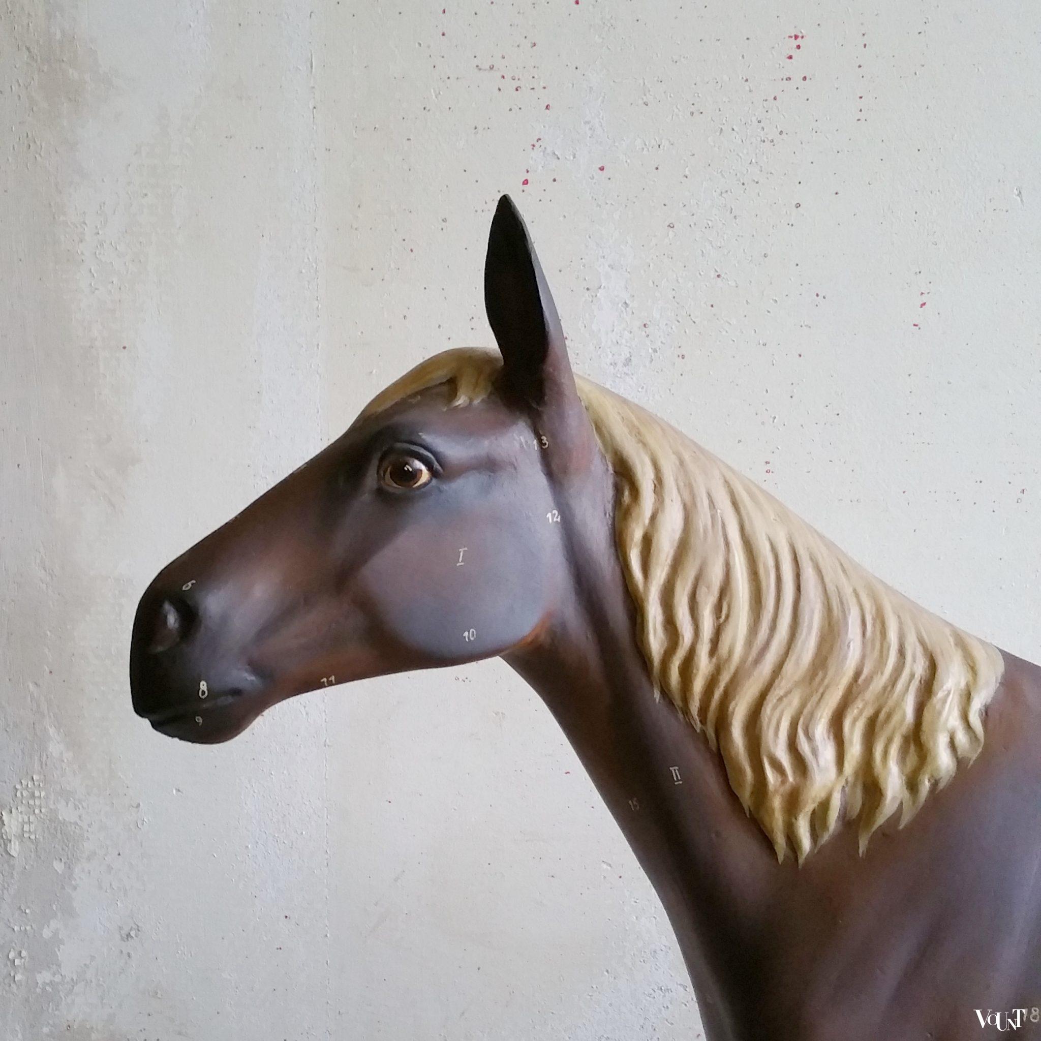 Antiek anatomisch model paard, ca. 1920
