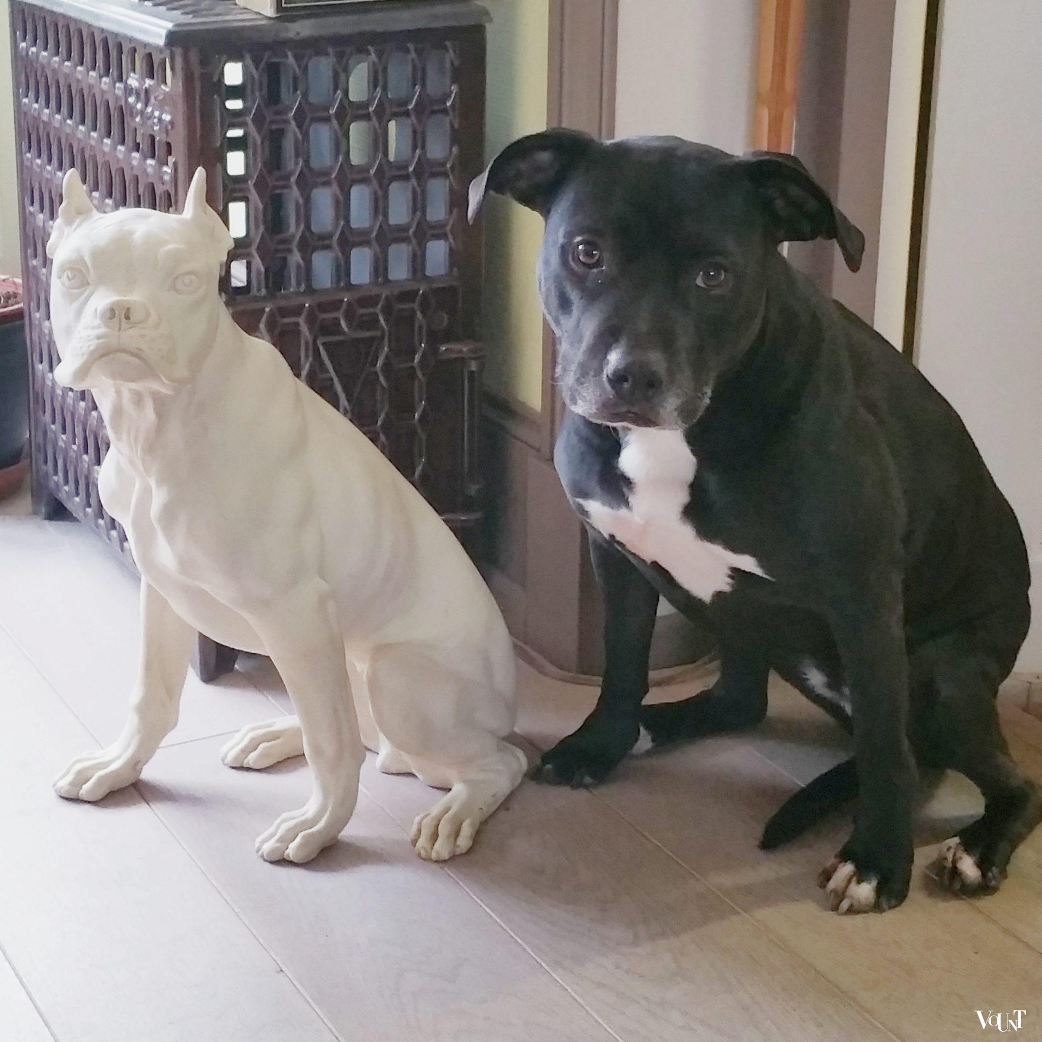 Vintage sculptuur van hond, A. Santini, jaren ‘60/’70