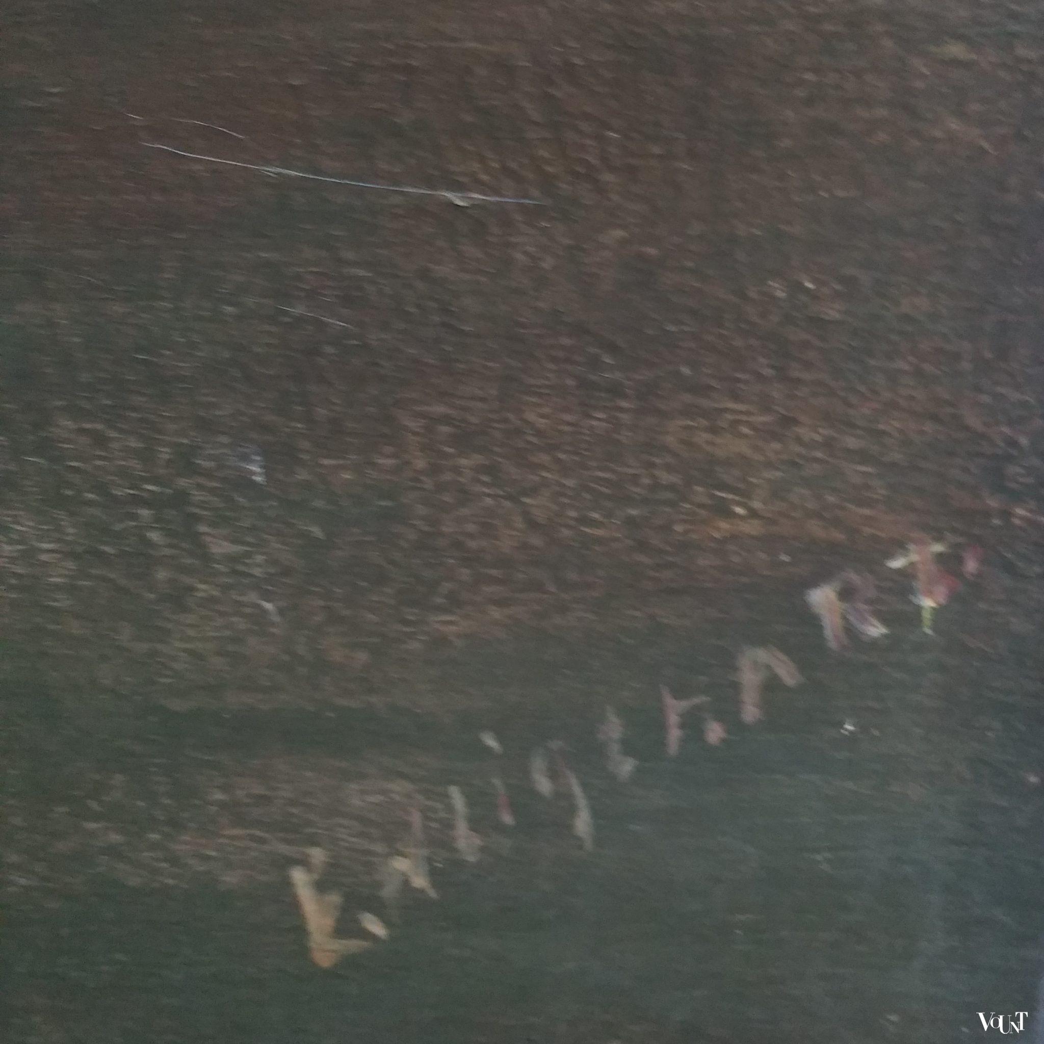 Vintage stilleven met schaal, fles en fruit, E.W. Ligthart