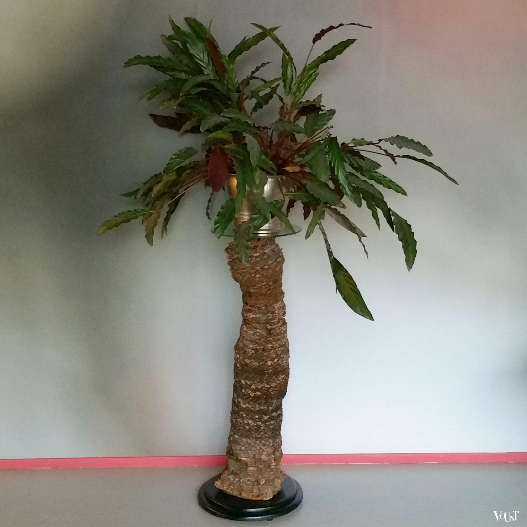 Pedestal Cycas palmvoet met glazen plateau, jaren '80