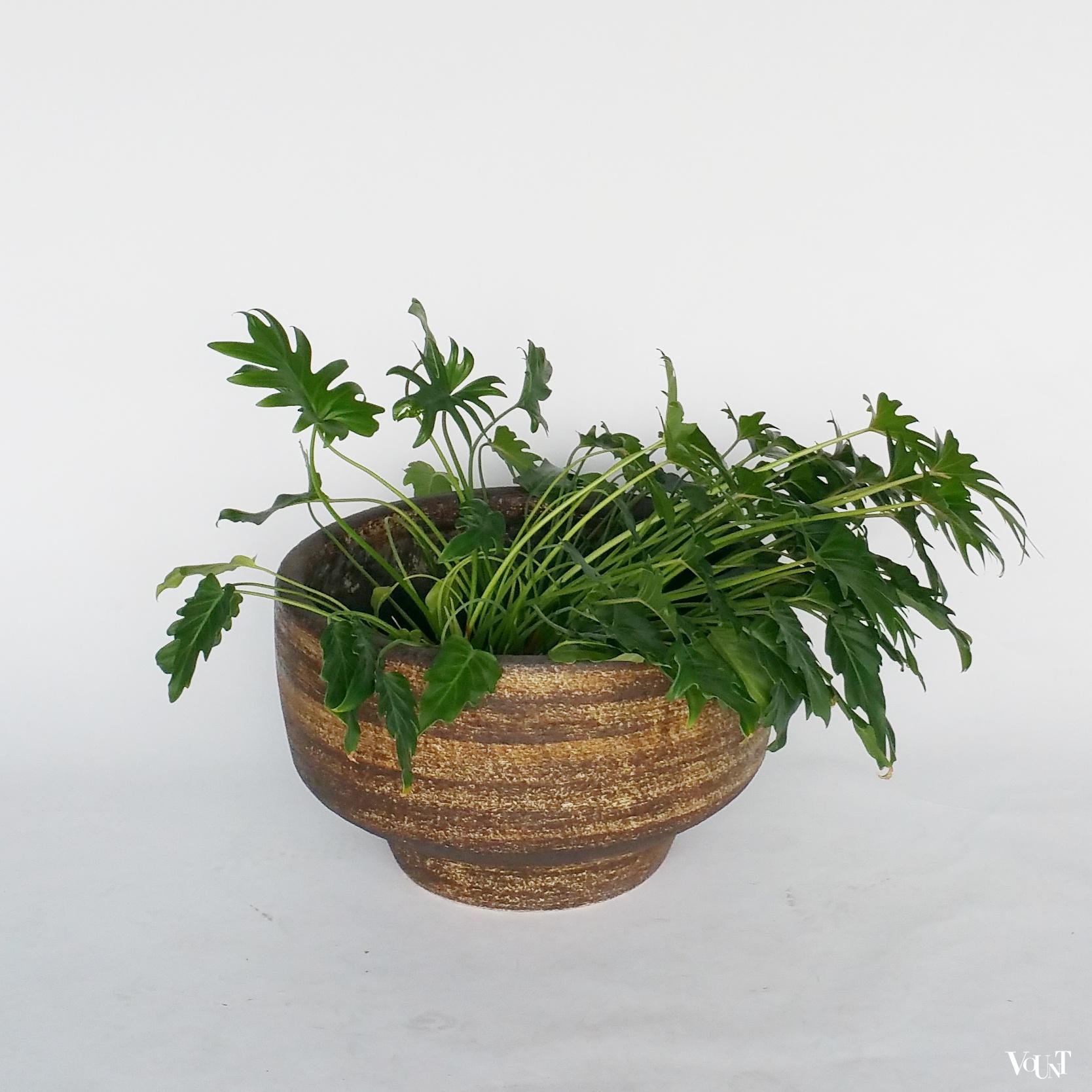 Keramische grote plantenbak van Zaalberg Holland, jaren '60