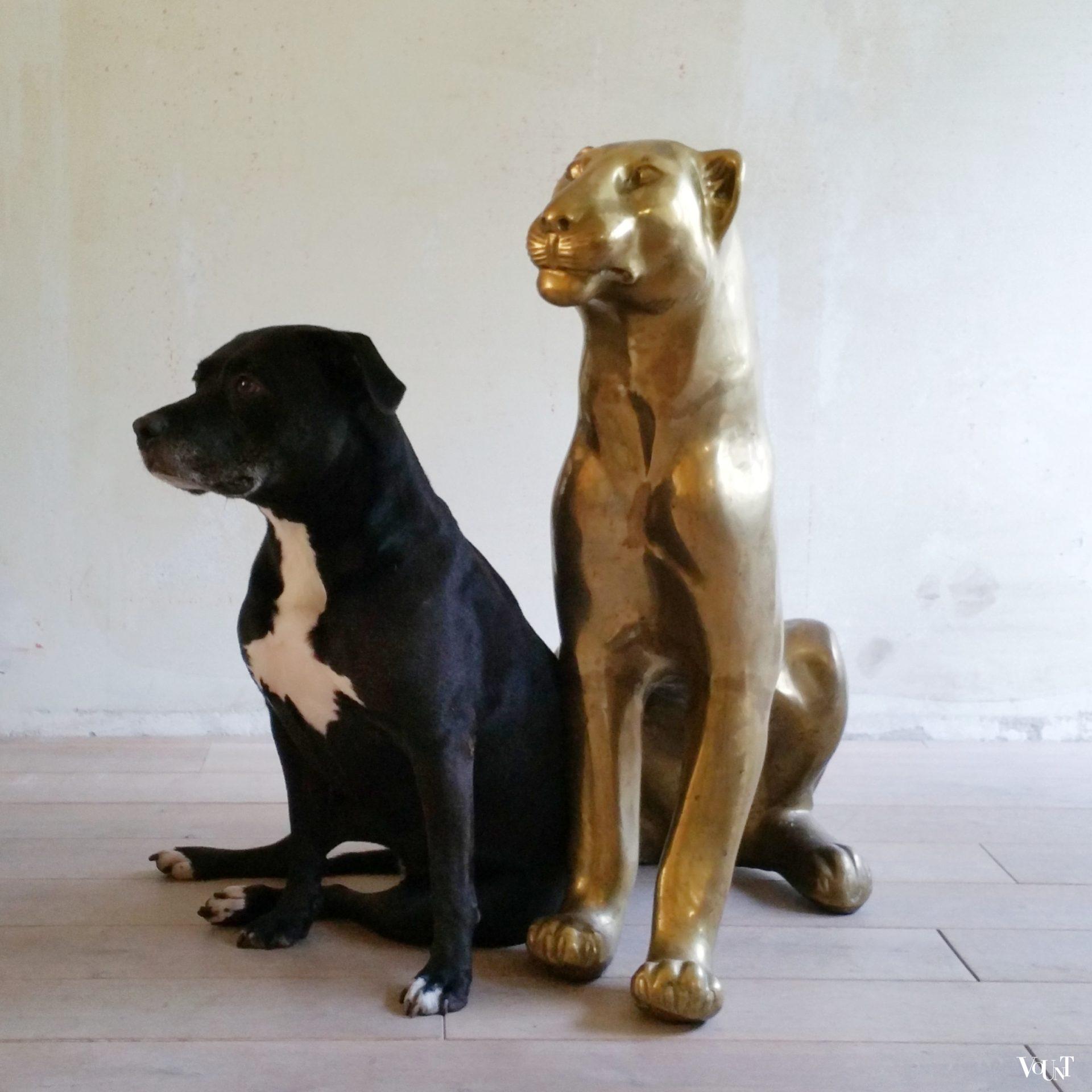 Messing luipaard/panter, jaren '70