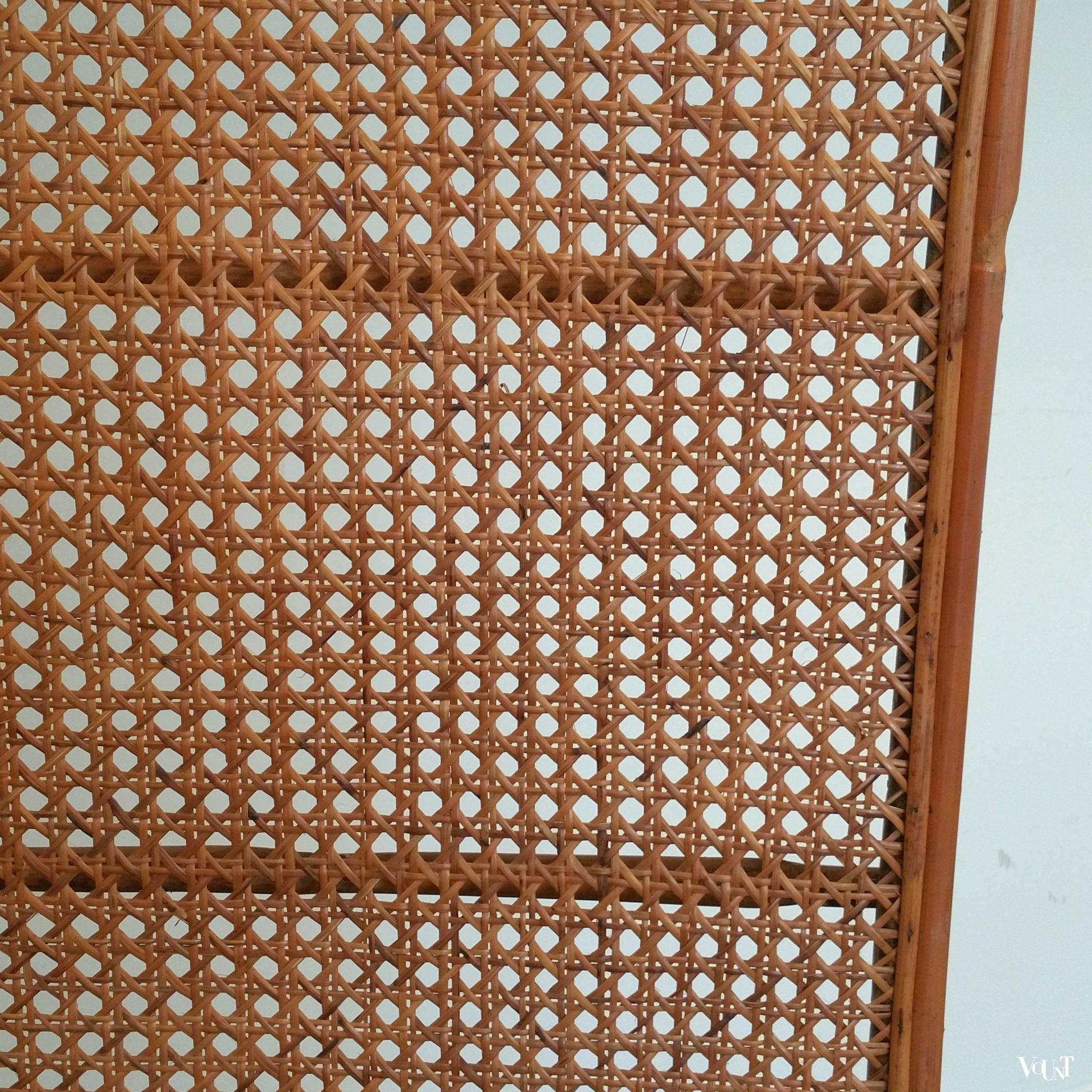 Rotan kamerscherm, jaren '60