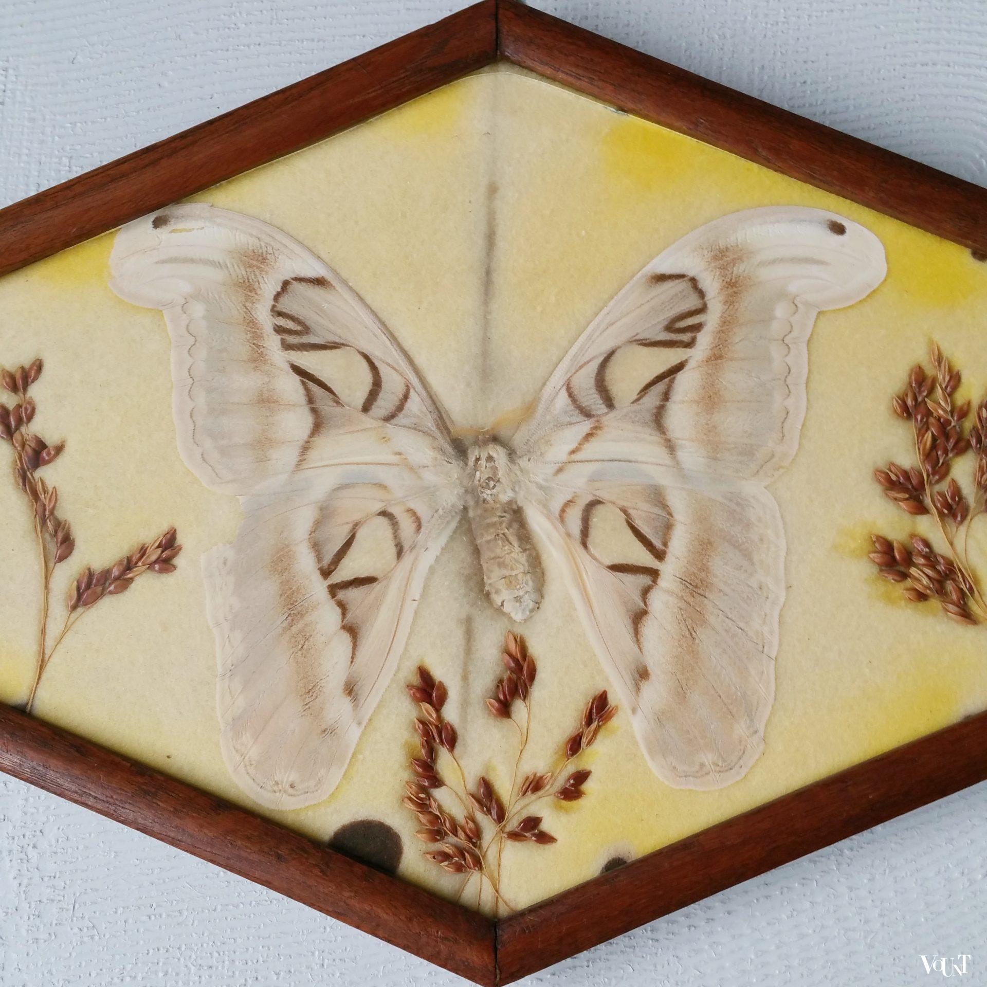 Art deco lijst met vlinder, jaren '20/'30