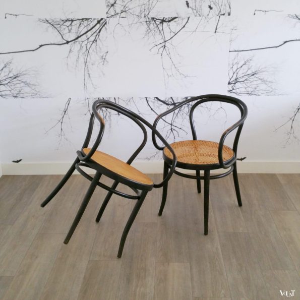 Set van 2 stoelen B9 / 209, Ligna, jaren '60