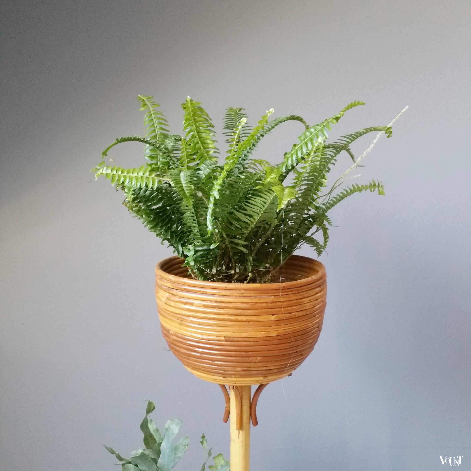 Bamboe plantenstandaard 2-laags - Houten plantenstandaard voor planten met een Bamboe plantenstandaard 2-laags - Houten plantenstandaard voor planten met een