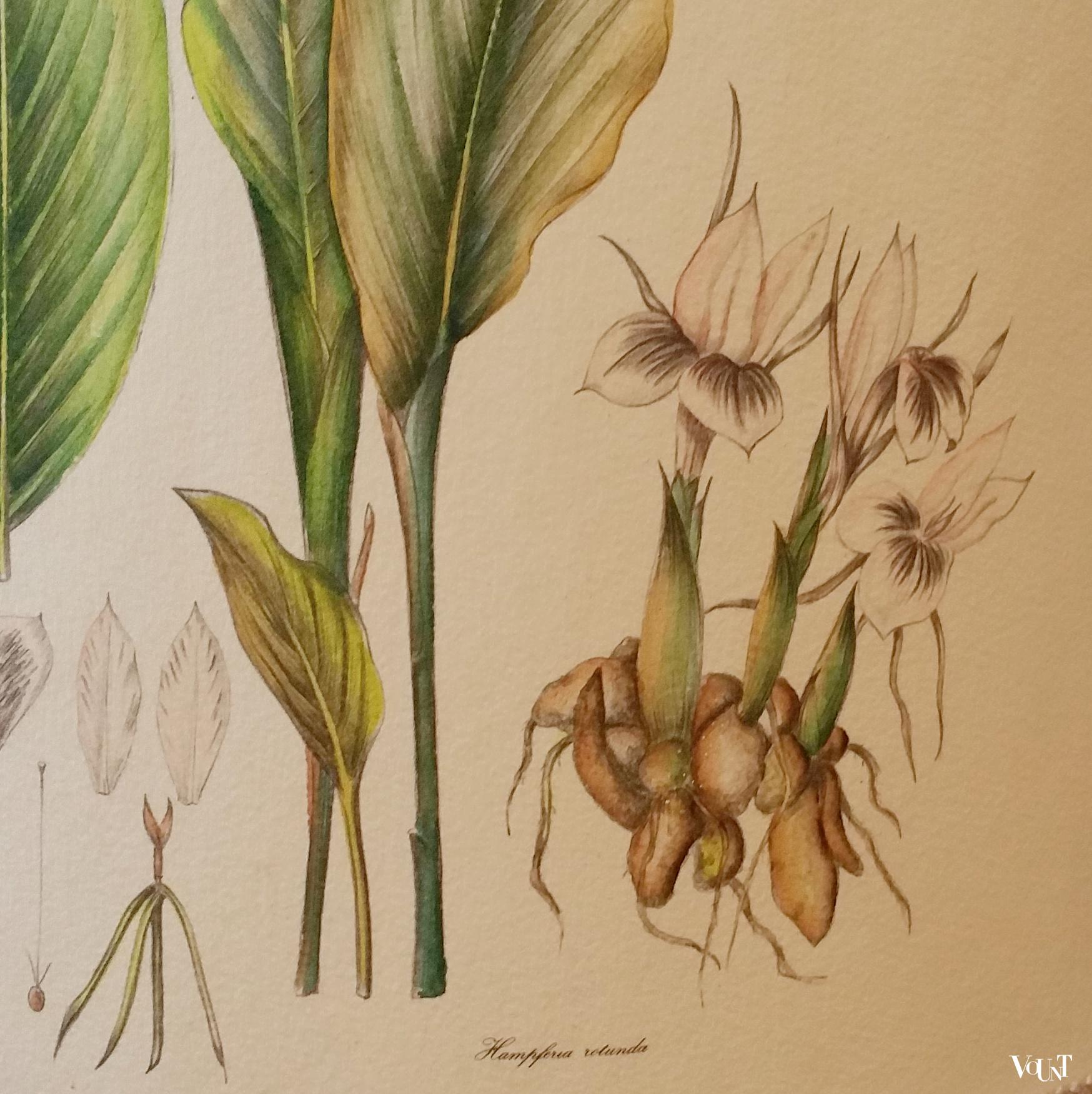 Tafellamp botanisch, jaren '70