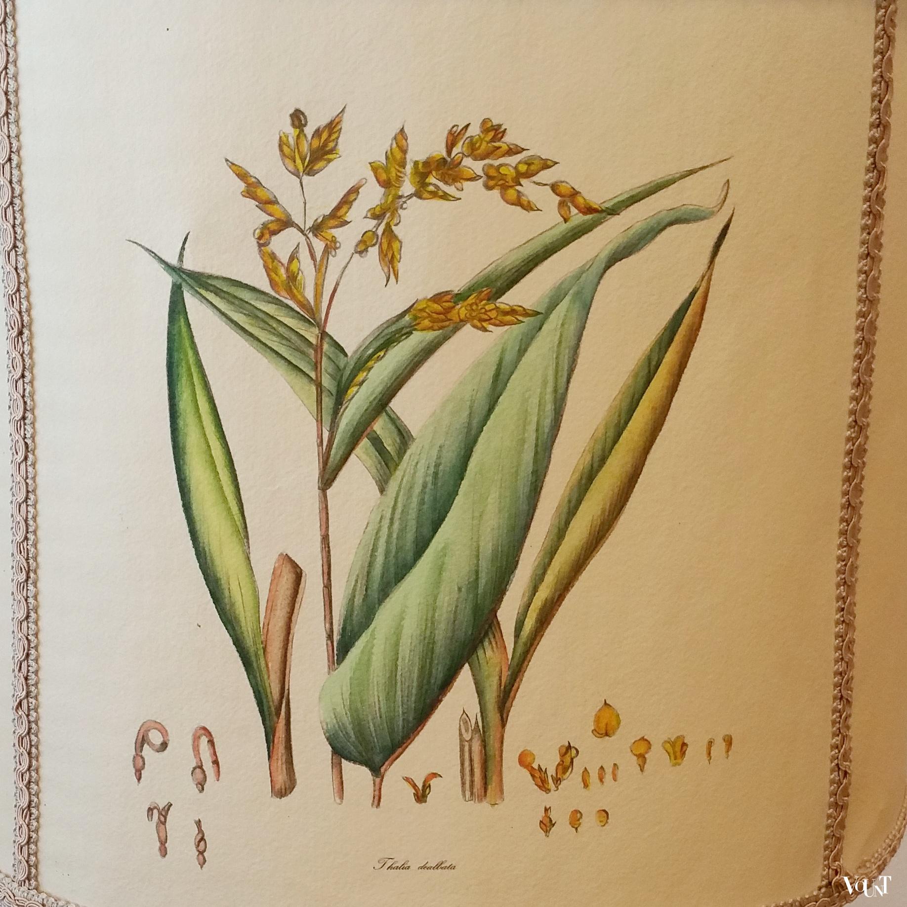 Tafellamp botanisch, jaren '70