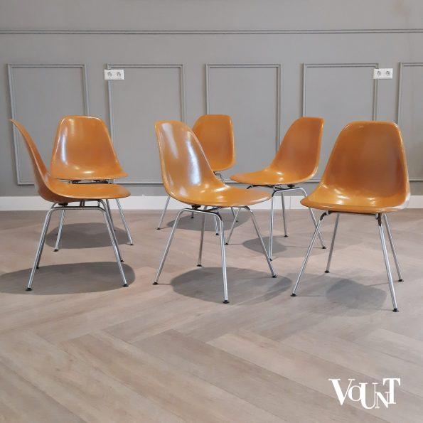 Set van 6 DSX stoelen, Charles & Ray Eames voor Herman Miller / Fehlbaum Production, jaren '70