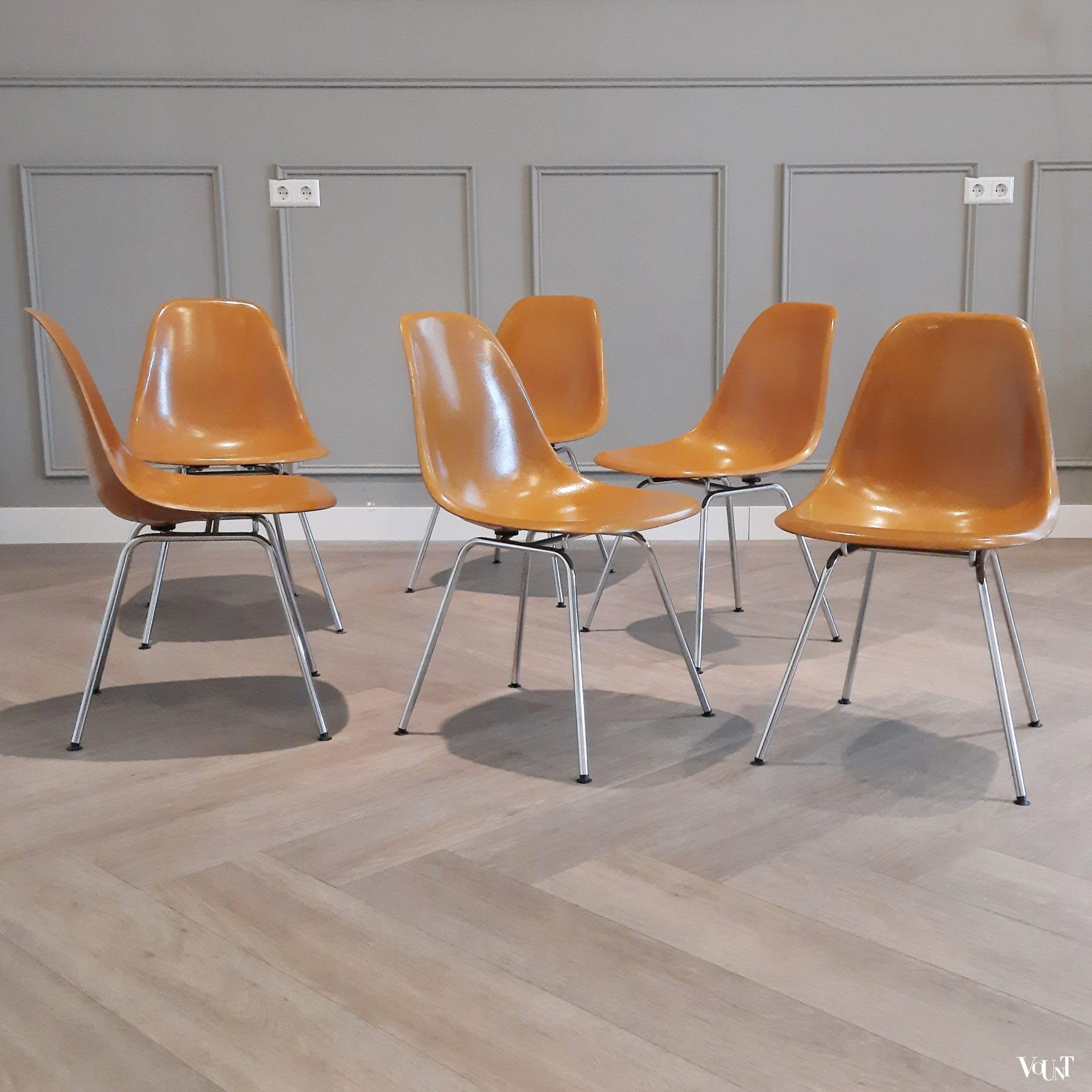 Set van 6 DSX stoelen, Charles & Ray Eames voor Herman Miller / Fehlbaum Production, jaren '70