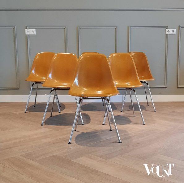 Set van 6 DSX stoelen, Charles & Ray Eames voor Herman Miller / Fehlbaum Production, jaren '70