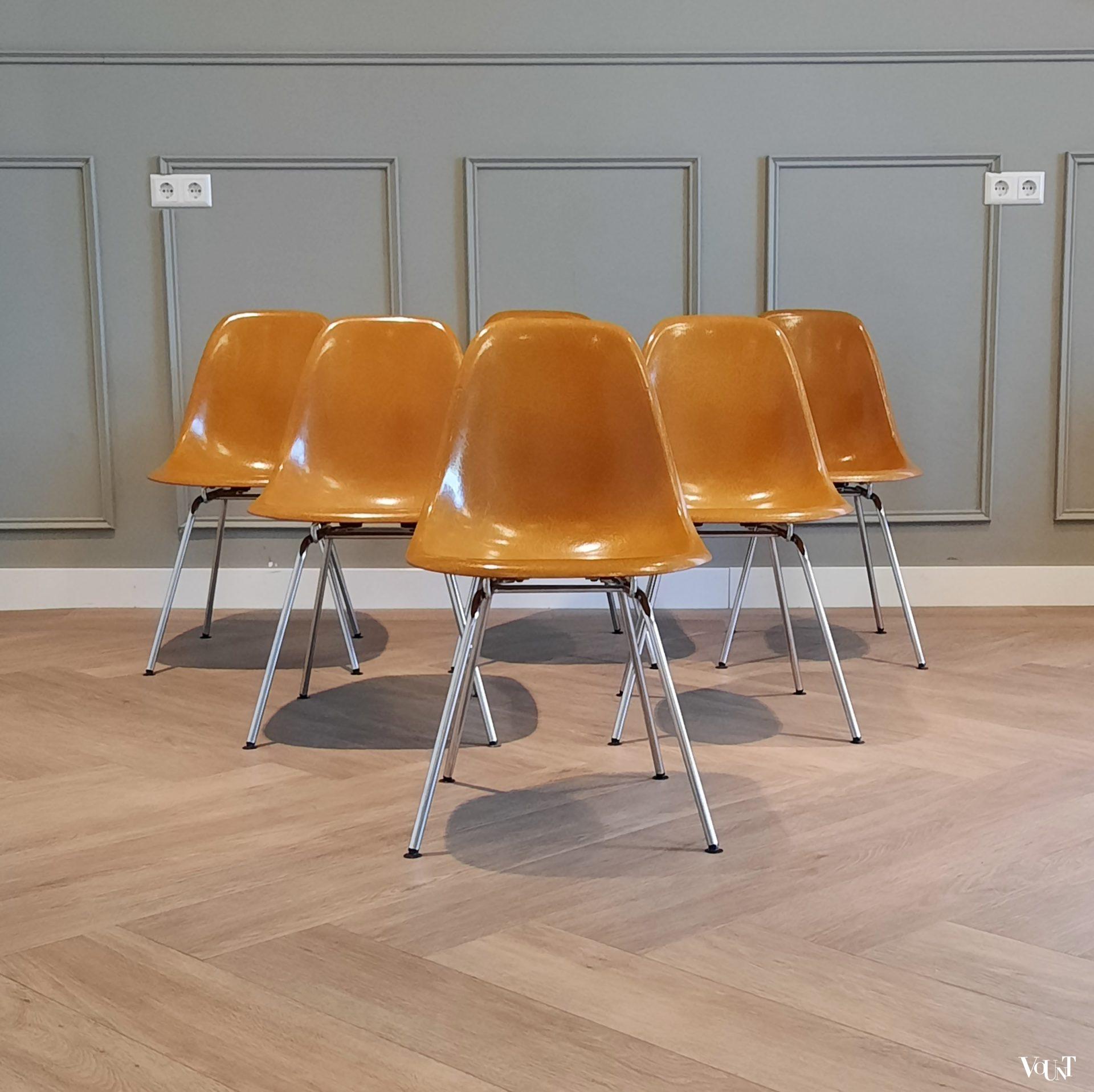 Set van 6 DSX stoelen, Charles & Ray Eames voor Herman Miller / Fehlbaum Production, jaren '70
