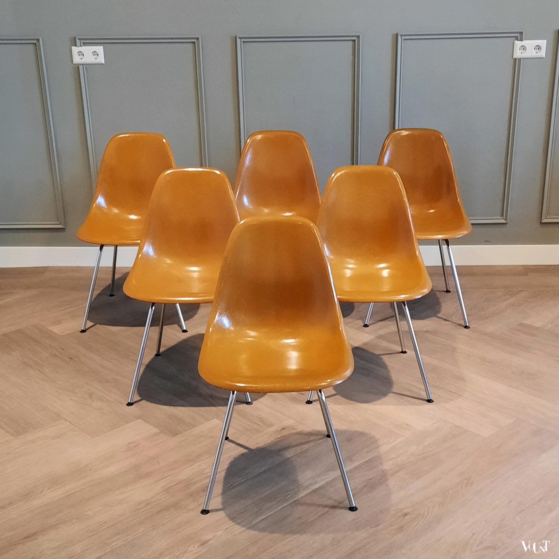 Set van 6 DSX stoelen, Charles & Ray Eames voor Herman Miller / Fehlbaum Production, jaren '70