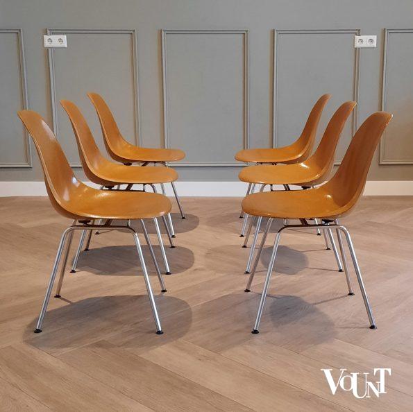 Set van 6 DSX stoelen, Charles & Ray Eames voor Herman Miller / Fehlbaum Production, jaren '70