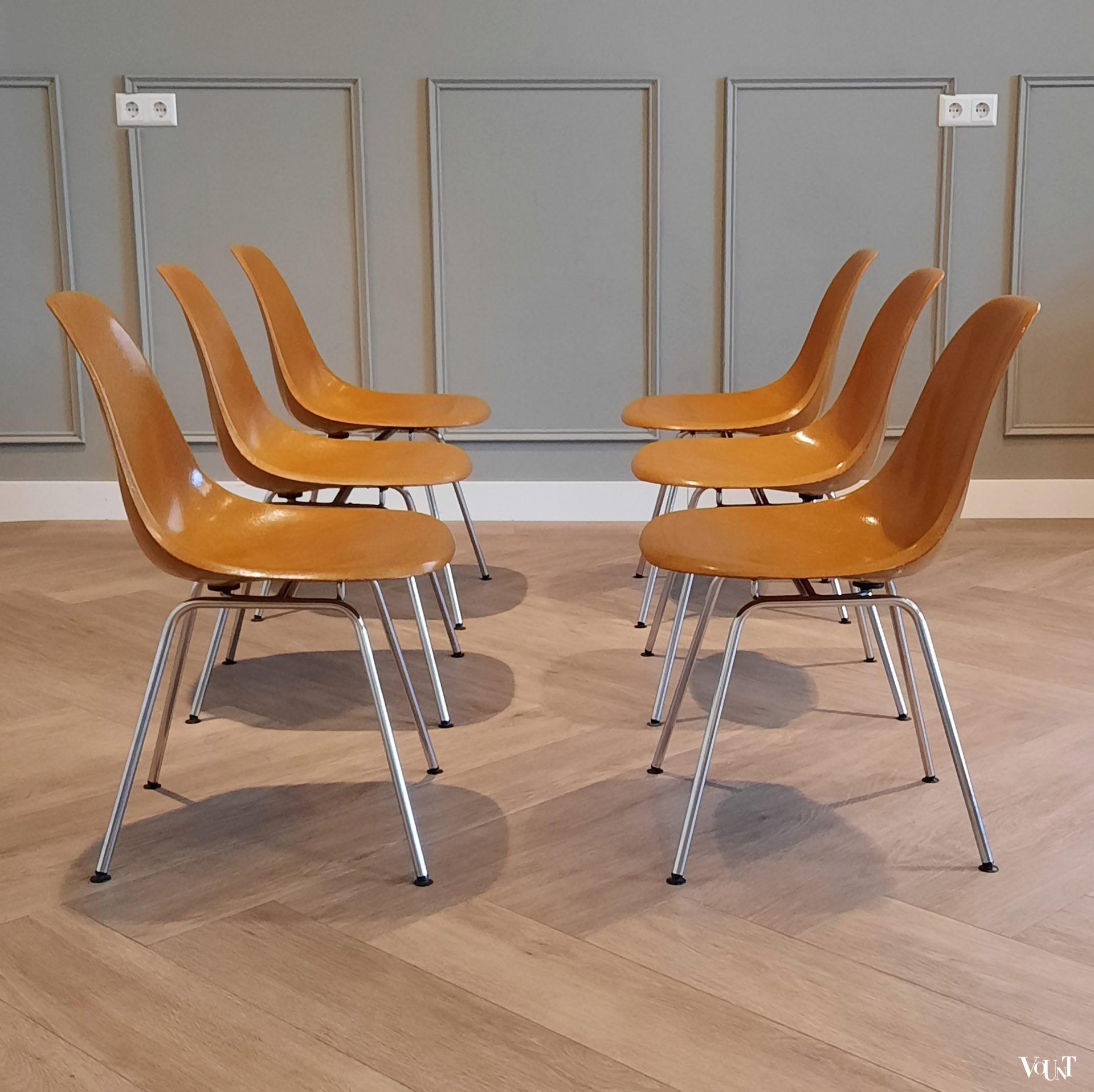 Set van 6 DSX stoelen, Charles & Ray Eames voor Herman Miller / Fehlbaum Production, jaren '70