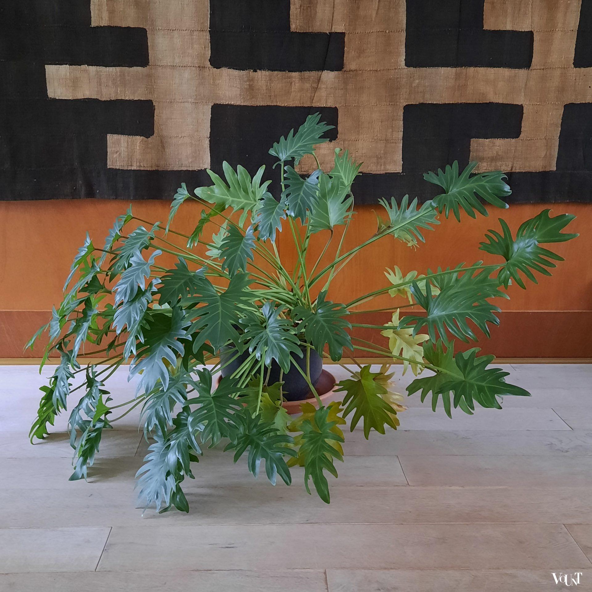 Vintage Afrikaans Kuba wandkleed