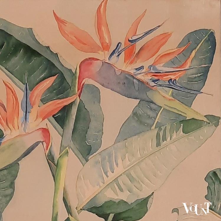 Pastel strelitzia reginae / paradijsvogelbloem, Dell, 1e helft 20e eeuw