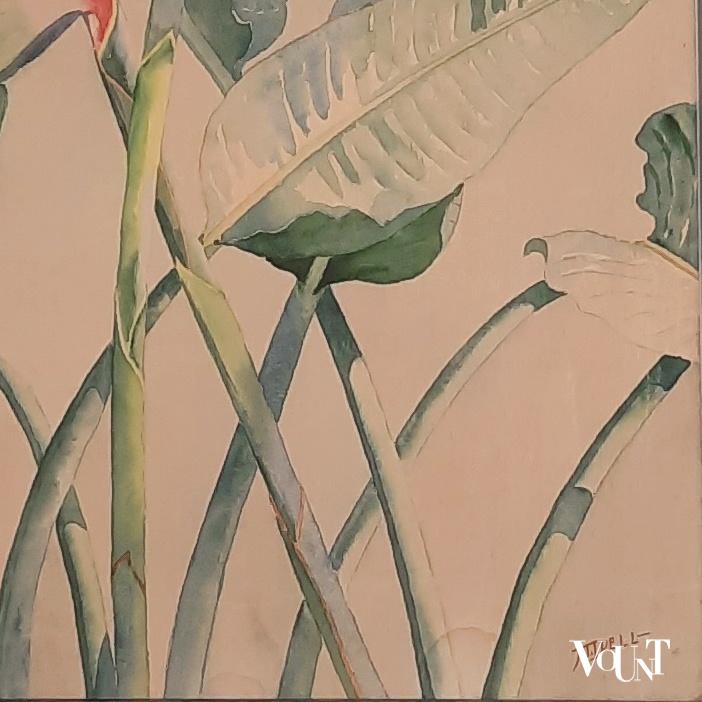 Pastel strelitzia reginae / paradijsvogelbloem, Dell, 1e helft 20e eeuw