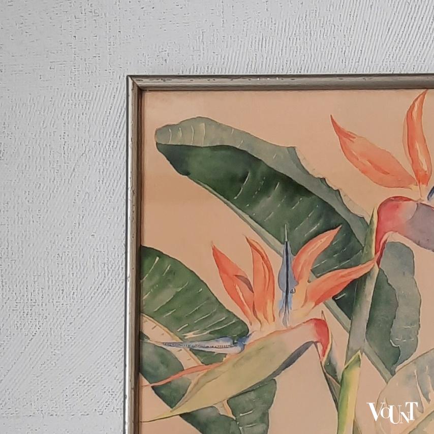Pastel strelitzia reginae / paradijsvogelbloem, Dell, 1e helft 20e eeuw