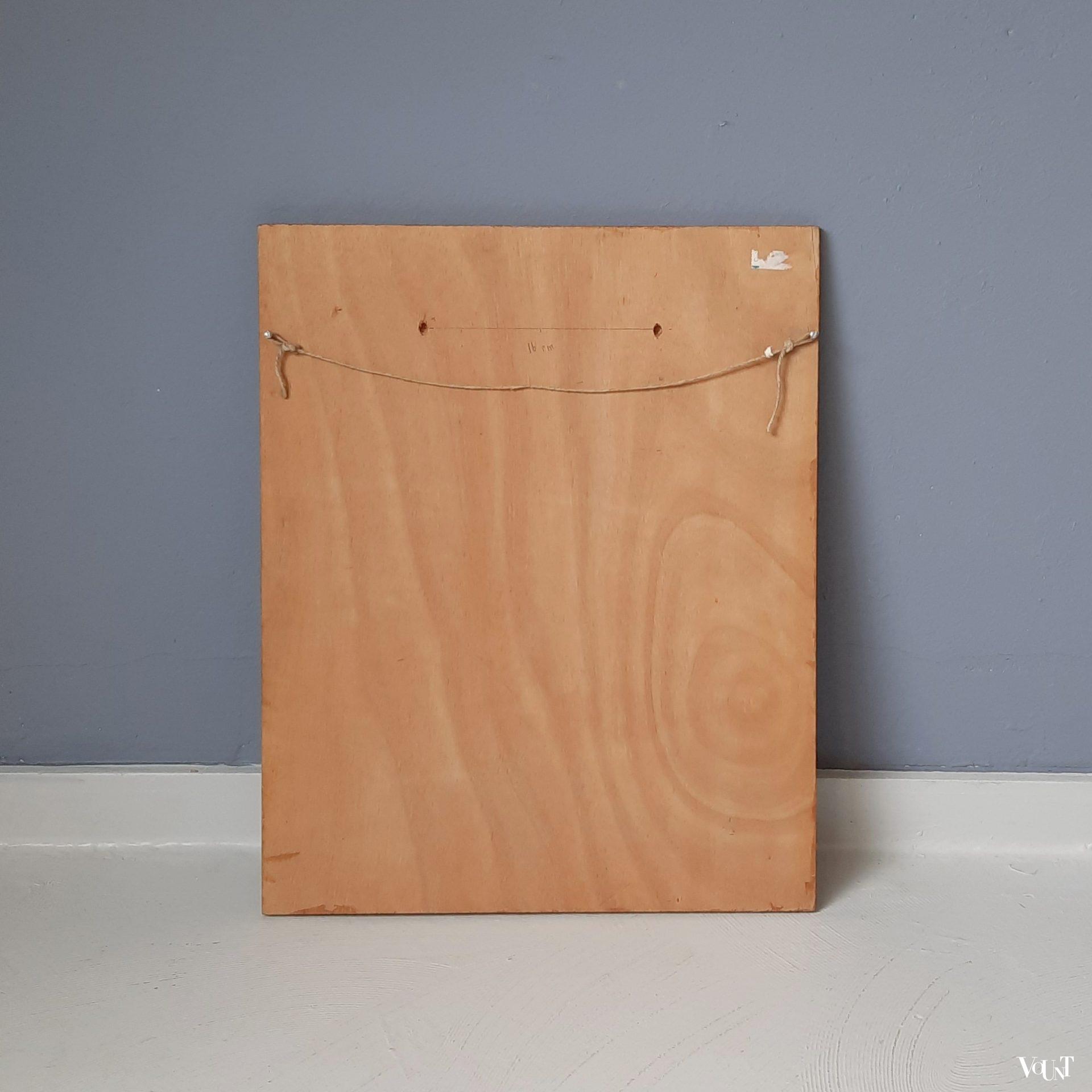 3 Dimensionale wanddecoratie papegaai, jaren 50