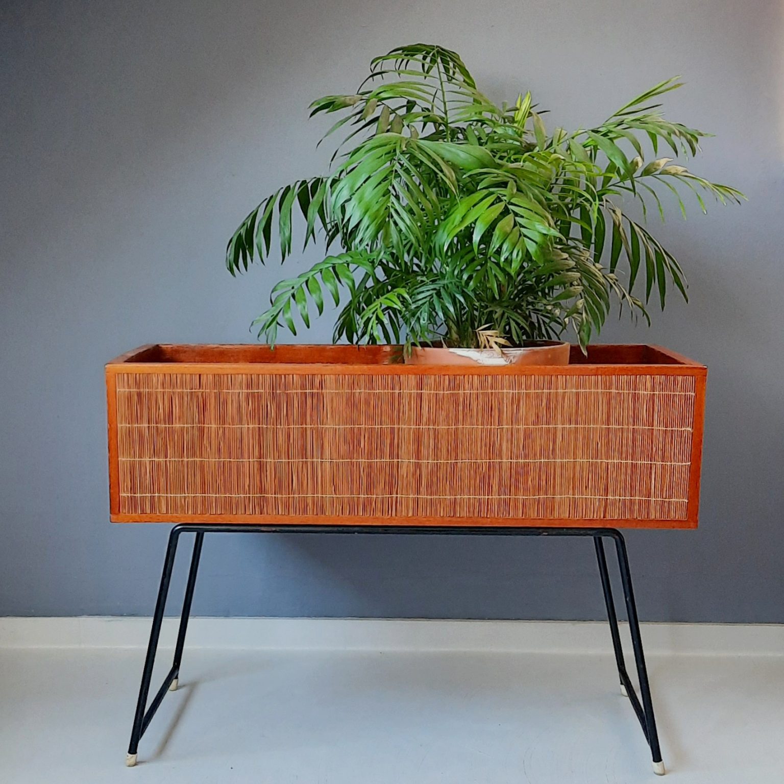 Plantenbak PE rotan zwart BELLIS
