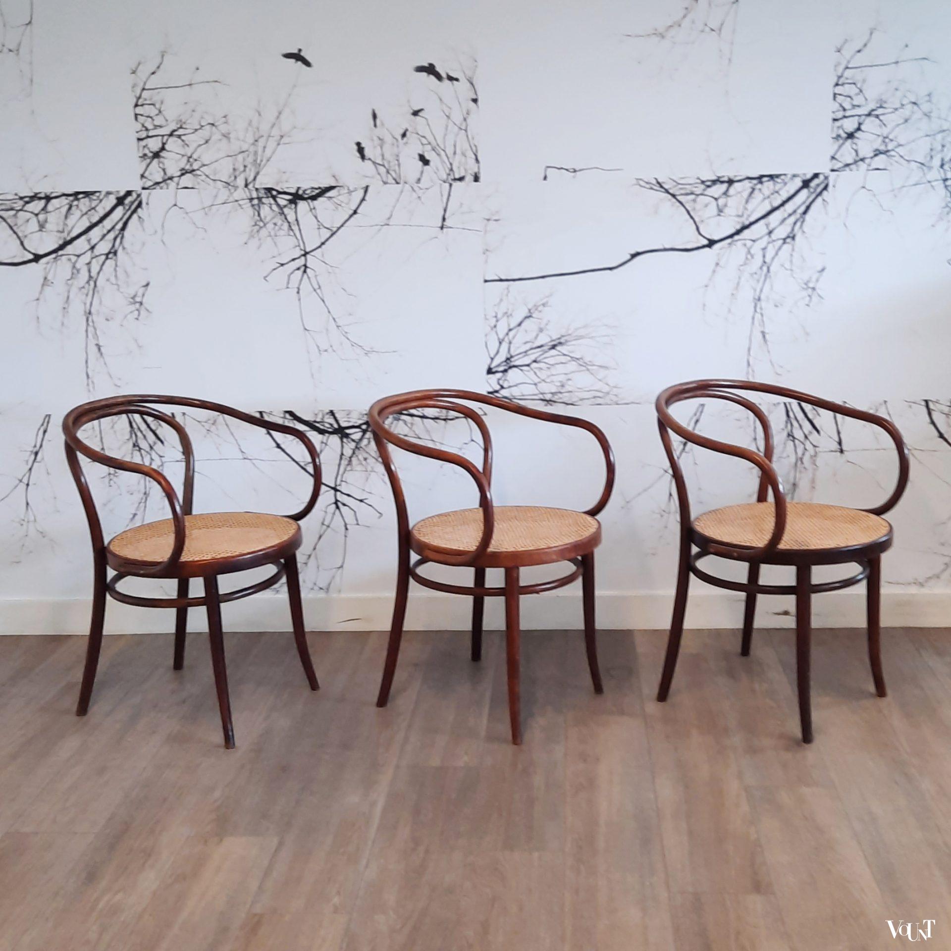 Bruine nr. 209 stoel, Ligna, jaren '70