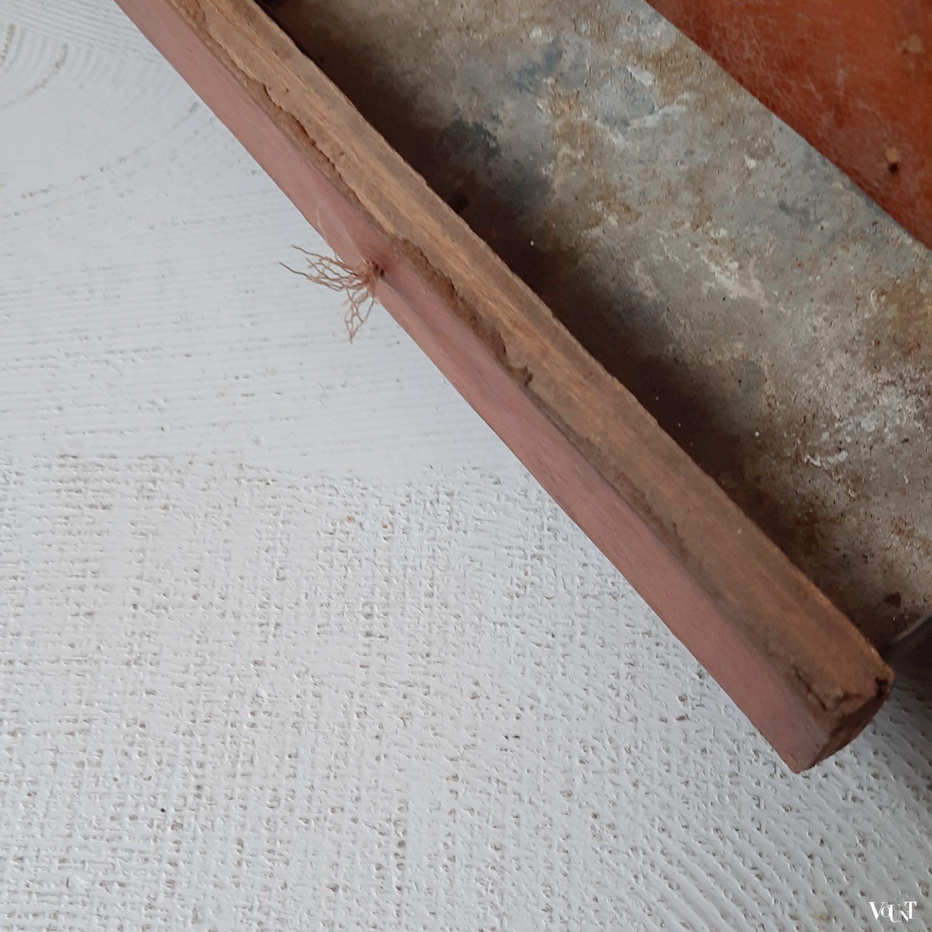 Noord-Afrikaanse paraplu-/stokkenbak, jaren '60